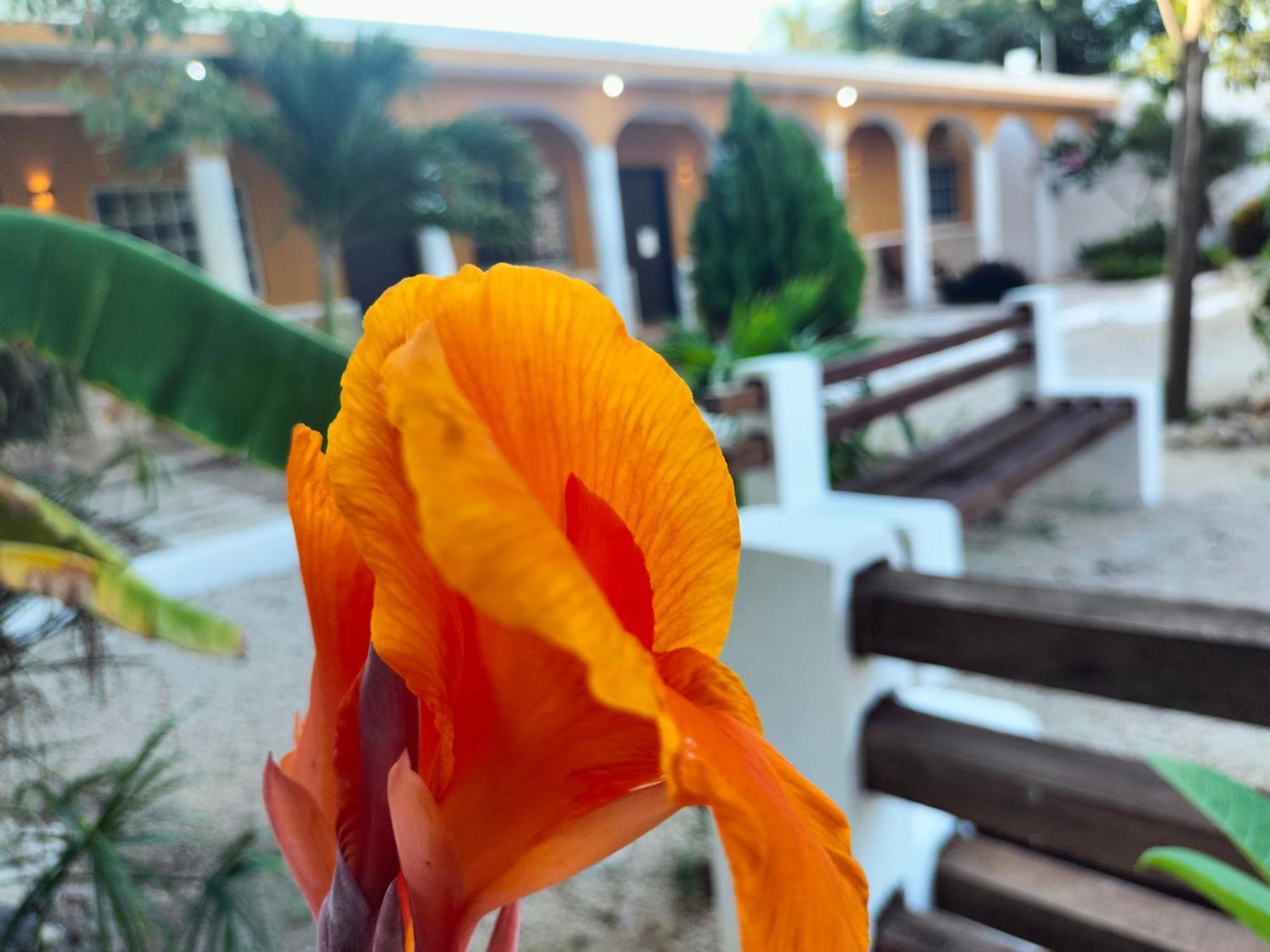 Villa Gabriela Celestun -Hotel & Restaurant Екстериор снимка
