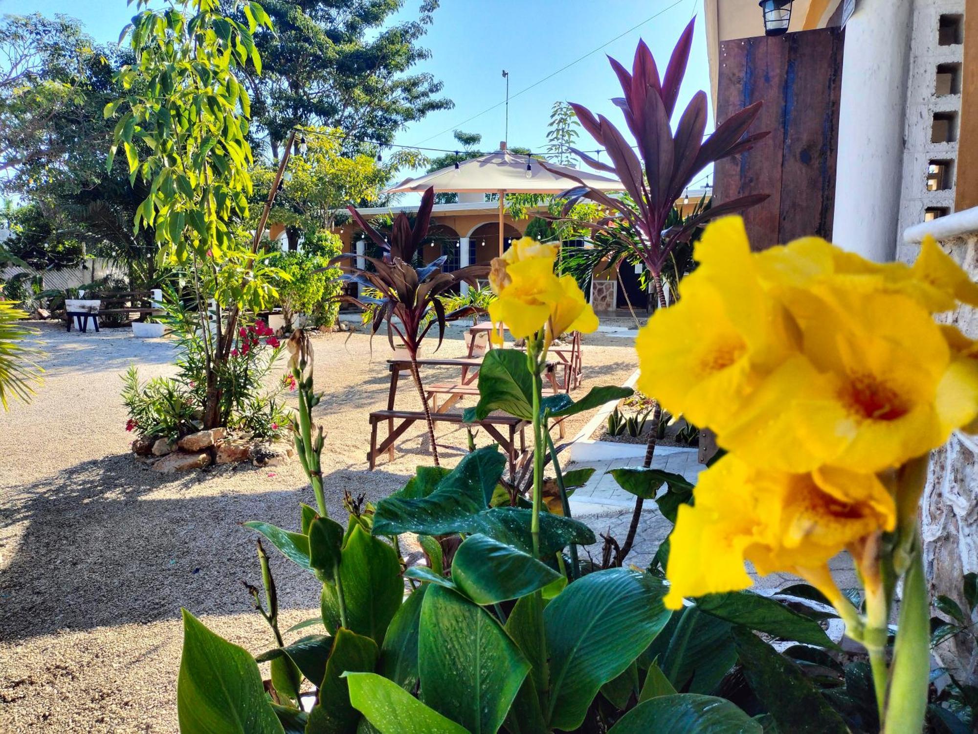 Villa Gabriela Celestun -Hotel & Restaurant Екстериор снимка